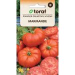 Pomidor Marmande 0,5 g | Gruntowy Wysoki | Toraf