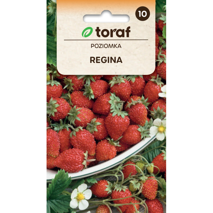 Poziomka Regina 0,1 g | Wielkoowocowa | Toraf