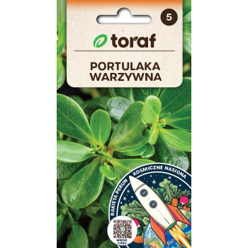 Portulaka warzywna nasiona TORAF 1 g – jadalna roślina liściowa