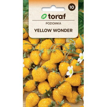 Poziomka Yellow Wonder Toraf 0,1 g – żółta, słodka odmiana