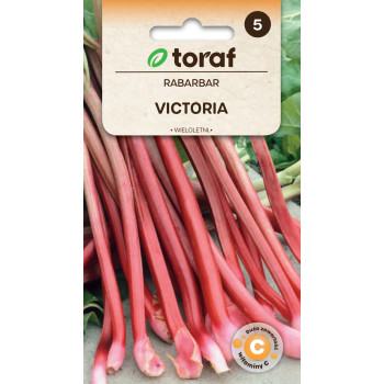 Rabarbar Victoria nasiona Toraf – plenna odmiana wieloletnia