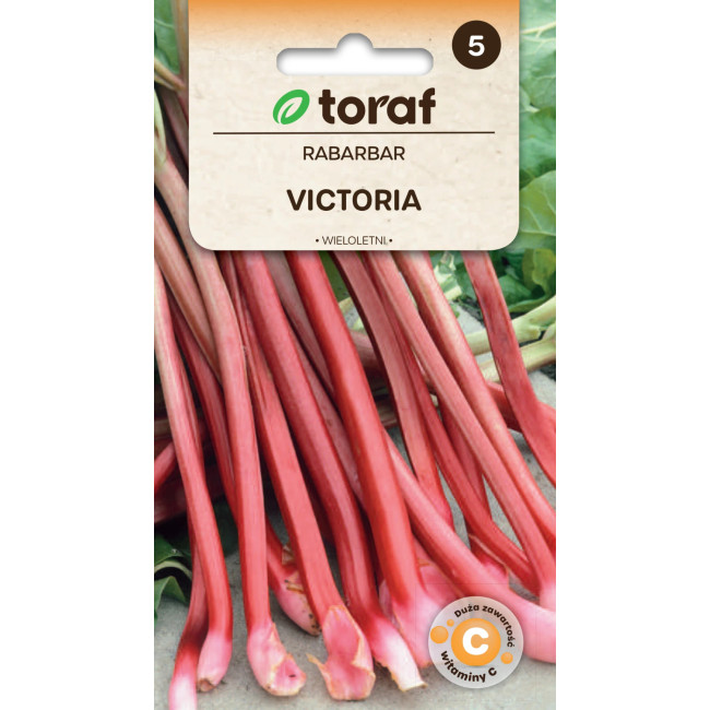 Rabarbar Victoria nasiona Toraf – plenna odmiana wieloletnia