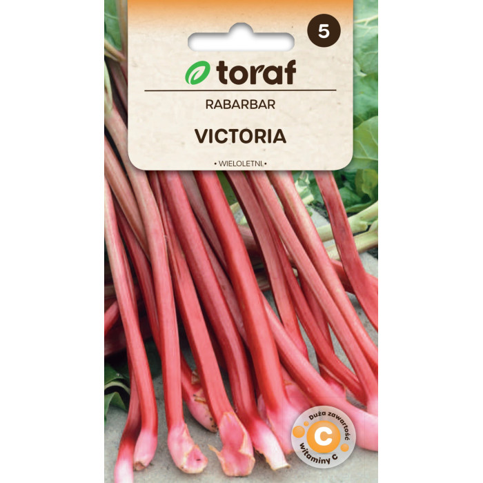 Rabarbar Victoria nasiona Toraf – plenna odmiana wieloletnia