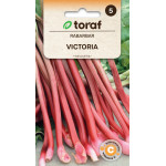 Rabarbar Victoria nasiona Toraf – plenna odmiana wieloletnia