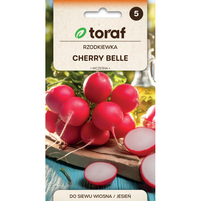 Rzodkiewka Cherry Belle nasiona Toraf – wczesna odmiana do gruntu