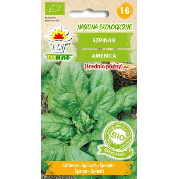 BIO Szpinak America – ekologiczne nasiona, plenna odmiana do ogrodu