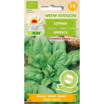 BIO Szpinak America – ekologiczne nasiona, plenna odmiana do ogrodu