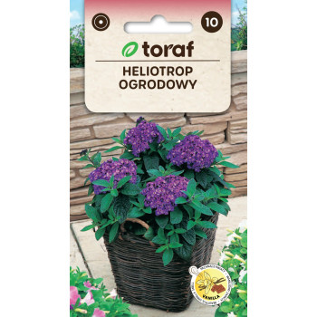 Heliotrop ogrodowy – pachnące kwiaty waniliowe | nasiona Toraf