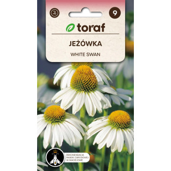 Jeżówka White Swan – biała jeżówka, bylina miododajna Toraf