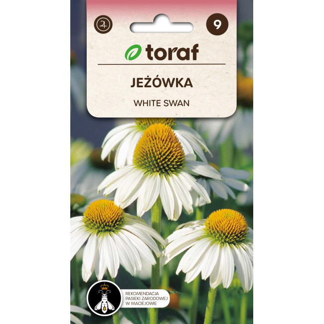 Jeżówka White Swan – biała jeżówka, bylina miododajna Toraf
