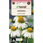 Jeżówka White Swan – biała jeżówka, bylina miododajna Toraf