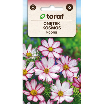 Onętek Kosmos PICOTEE 0,5 g – nasiona kwiatów TORAF