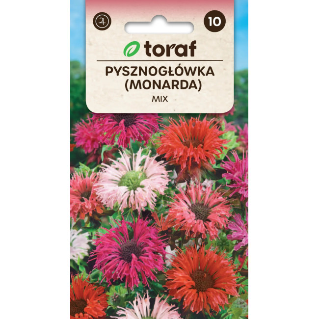 Pysznogłówka Monarda MIX 0,1 g TORAF – miododajna bylina do ogrodu