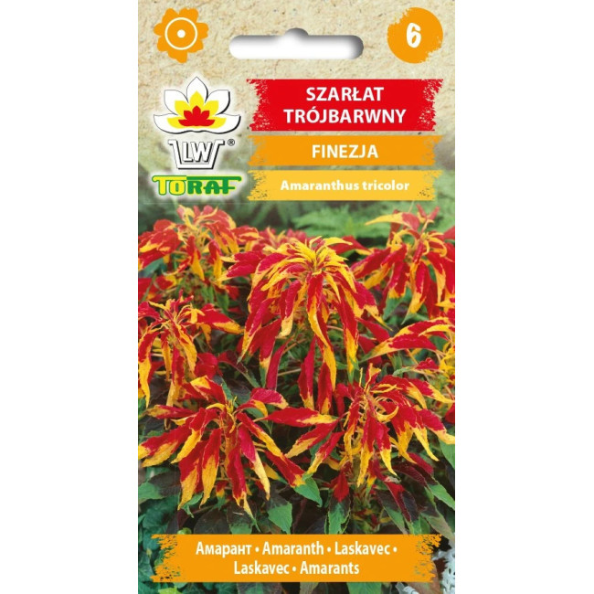 Szarłat trójbarwny FINEZJA nasiona TORAF 0,2 g | Amaranthus tricolor