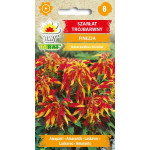 Szarłat trójbarwny FINEZJA nasiona TORAF 0,2 g | Amaranthus tricolor