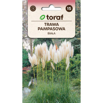 Trawa pampasowa biała Cortaderia selloana 0,1 g – TORAF
