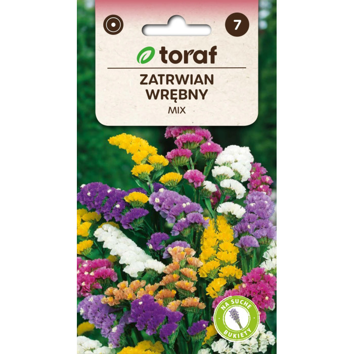 Zatrwian wrębny MIX 0,5 g – nasiona na suche bukiety | TORAF
