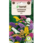 Zatrwian wrębny MIX 0,5 g – nasiona na suche bukiety | TORAF