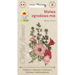 Malwa ogrodowa MIX Toraf 1 g – nasiona bylin Alcea rosea