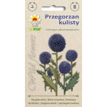 Przegorzan kulisty TORAF 1g – miododajna bylina ogrodowa