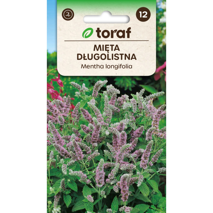 Mięta długolistna TORAF 0,1 g – Mentha longifolia nasiona