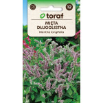 Mięta długolistna TORAF 0,1 g – Mentha longifolia nasiona