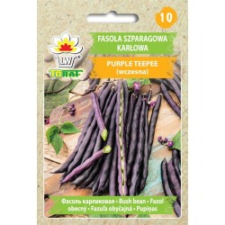 Fasola szparagowa fioletowa karłowa Purple Teepee 30g TORAF