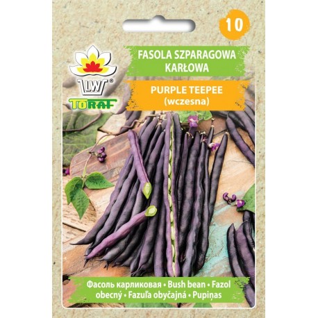 Fasola szparagowa fioletowa karłowa Purple Teepee 30g TORAF
