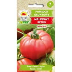 Pomidor gruntowy Malinowy Retro 0,5g TORAF