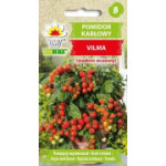 Pomidor karłowy gruntowy Vilma 0,3g TORAF
