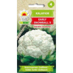 Kalafior Eearly Snowball X 1g TORAF