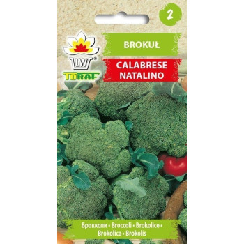 Brokuł Calabrese Natalino 1g TORAF