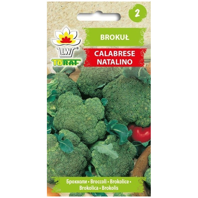 Brokuł Calabrese Natalino 1g TORAF