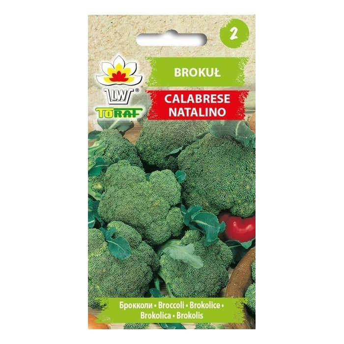 Brokuł Calabrese Natalino 1g TORAF