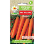 Marchew wczesna Amsterdam 3  5g TORAF