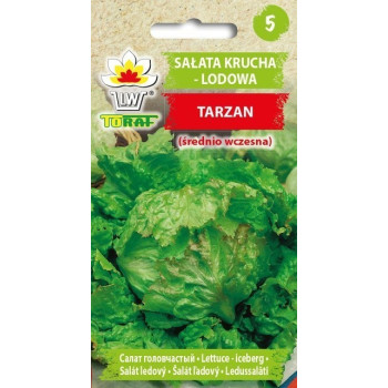 Sałata krucha lodowa Tarzan 1g TORAF