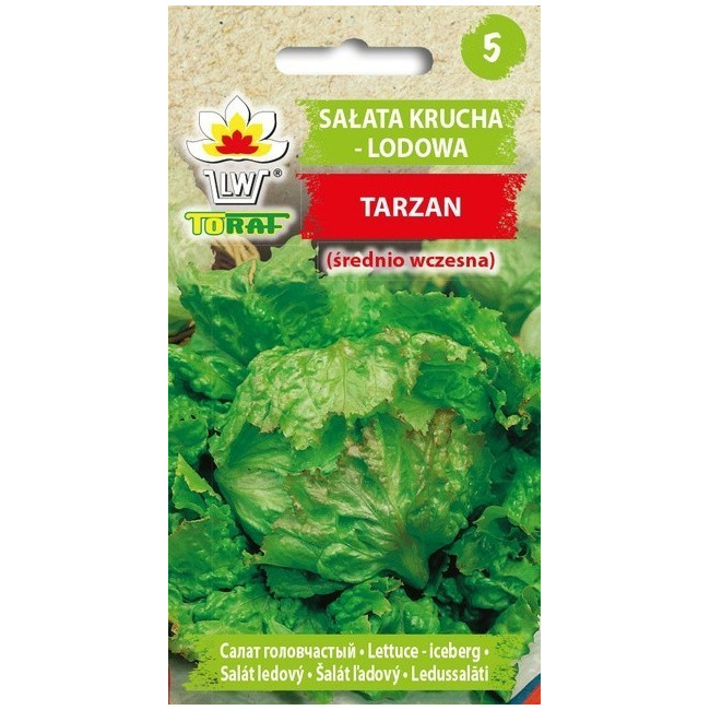 Sałata krucha lodowa Tarzan 1g TORAF