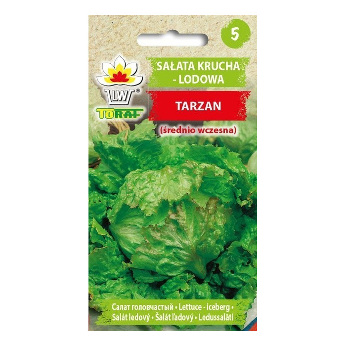 Sałata krucha lodowa Tarzan 1g TORAF