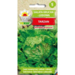 Sałata krucha lodowa Tarzan 1g TORAF