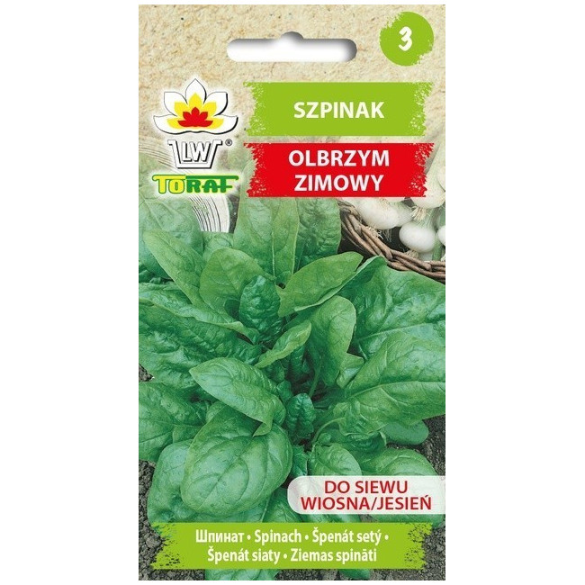 Szpinak olbrzym zimowy 10g TORAF