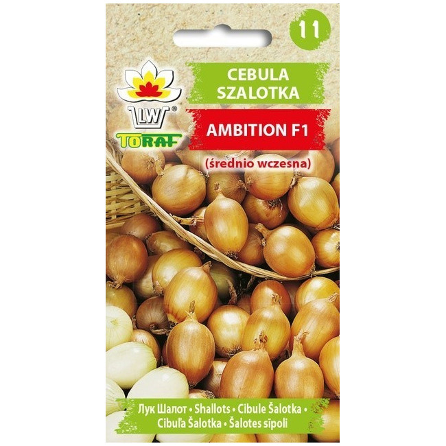 Cebula szalotka Ambition F1 20szt. TORAF
