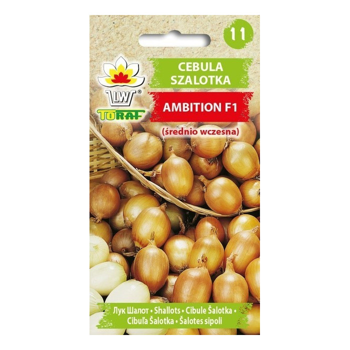 Cebula szalotka Ambition F1 20szt. TORAF