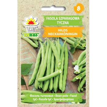 Fasola szparagowa tyczna Hilds Neckarkonigin 10g TORAF