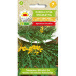Rukola dzika wieloletnia 1g TORAF