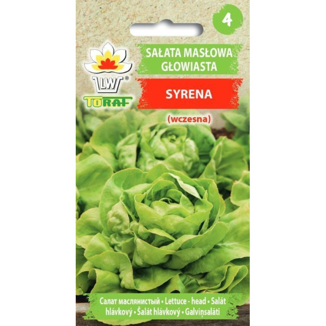 Sałata masłowa głowiasta Syrena wczesna 1g TORAF