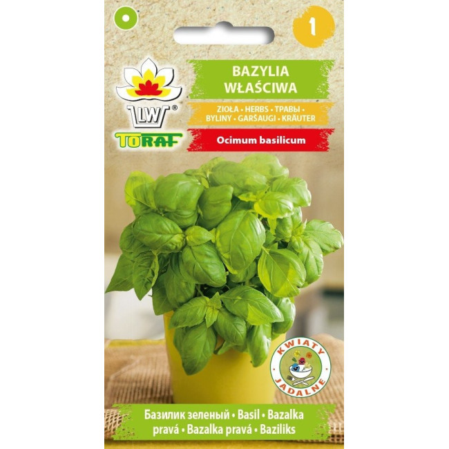 Bazylia właściwa 1g TORAF