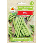 Fasola szparagowa karłowa SAXA 30g TORAF