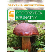 Podgrzybek brunatny grzybnia mikoryzowa EXOTIC GROW