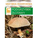 Podgrzybek złotawy grzybnia mikoryzowa EXOTIC GROW