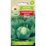 Kapusta głowiasta LANGEDIJKER DAUER (późna) 2g TORAF